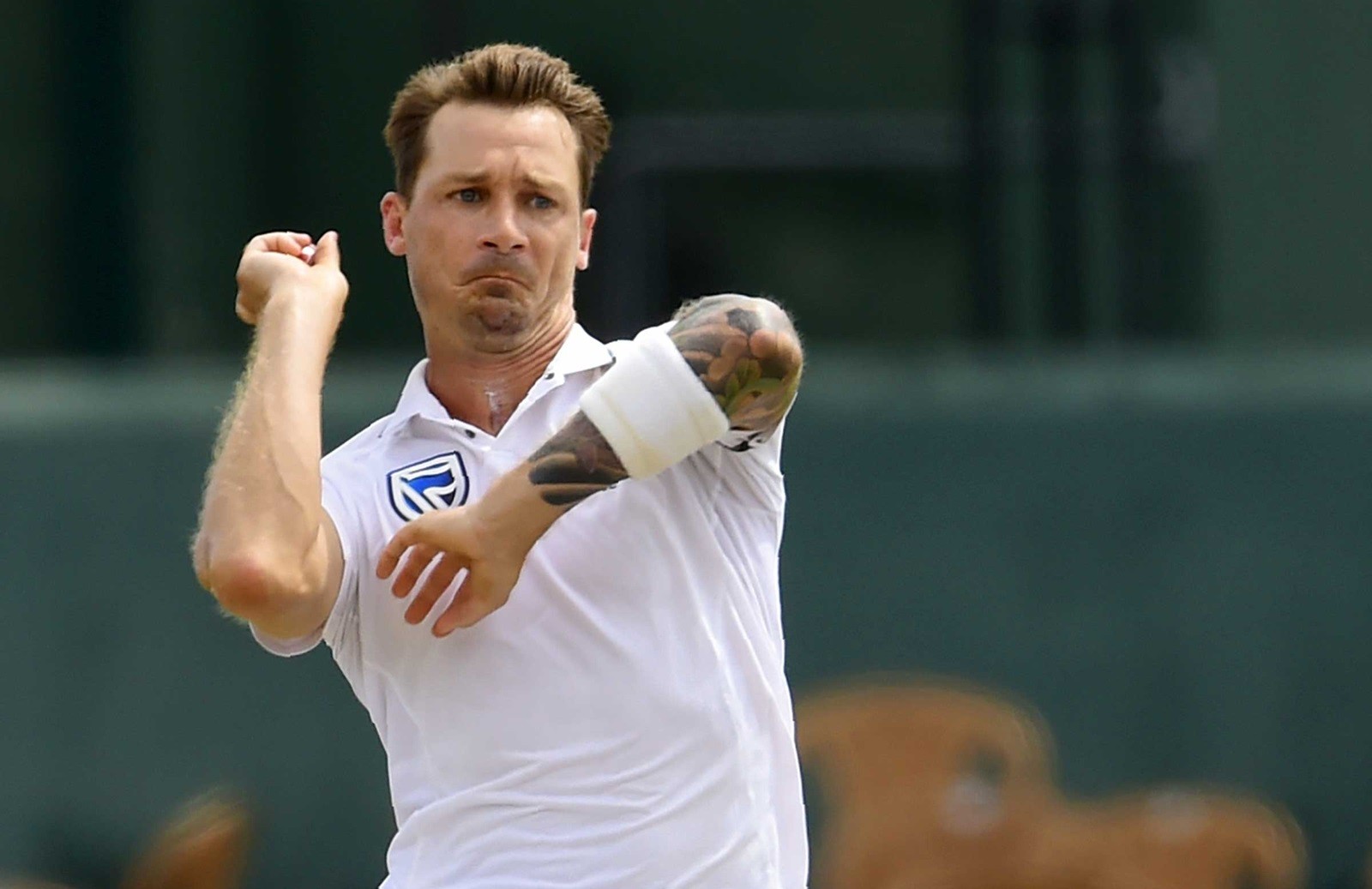 Dale Steyn apologizes for IPL remarks